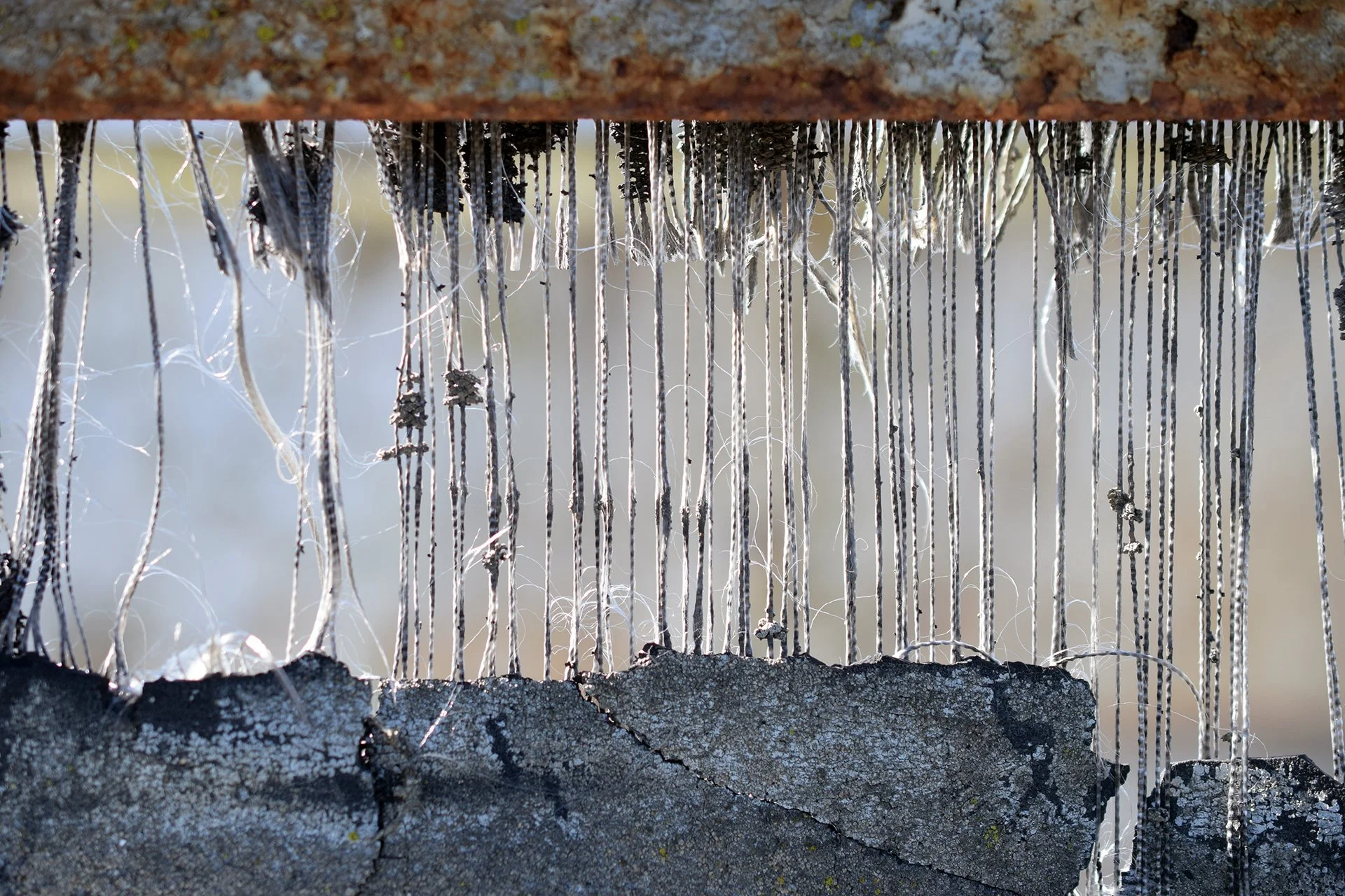 Fibers (2017)