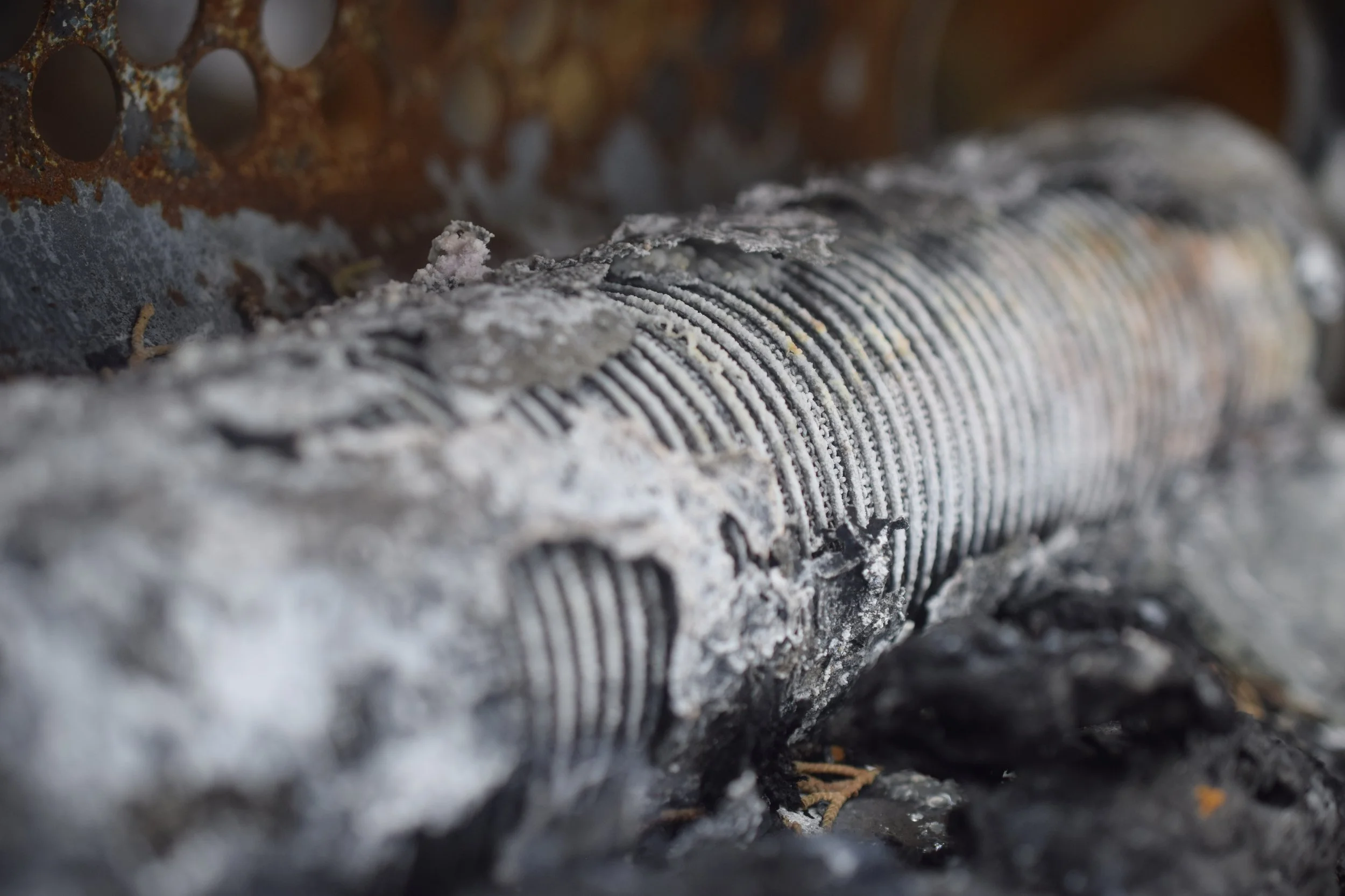 Burned (2019)