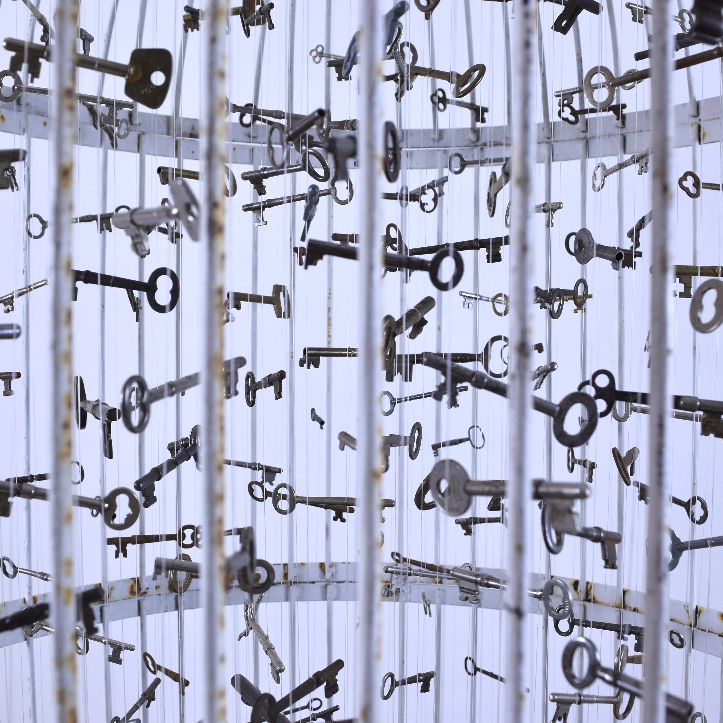 Cage-detail-01.jpg
