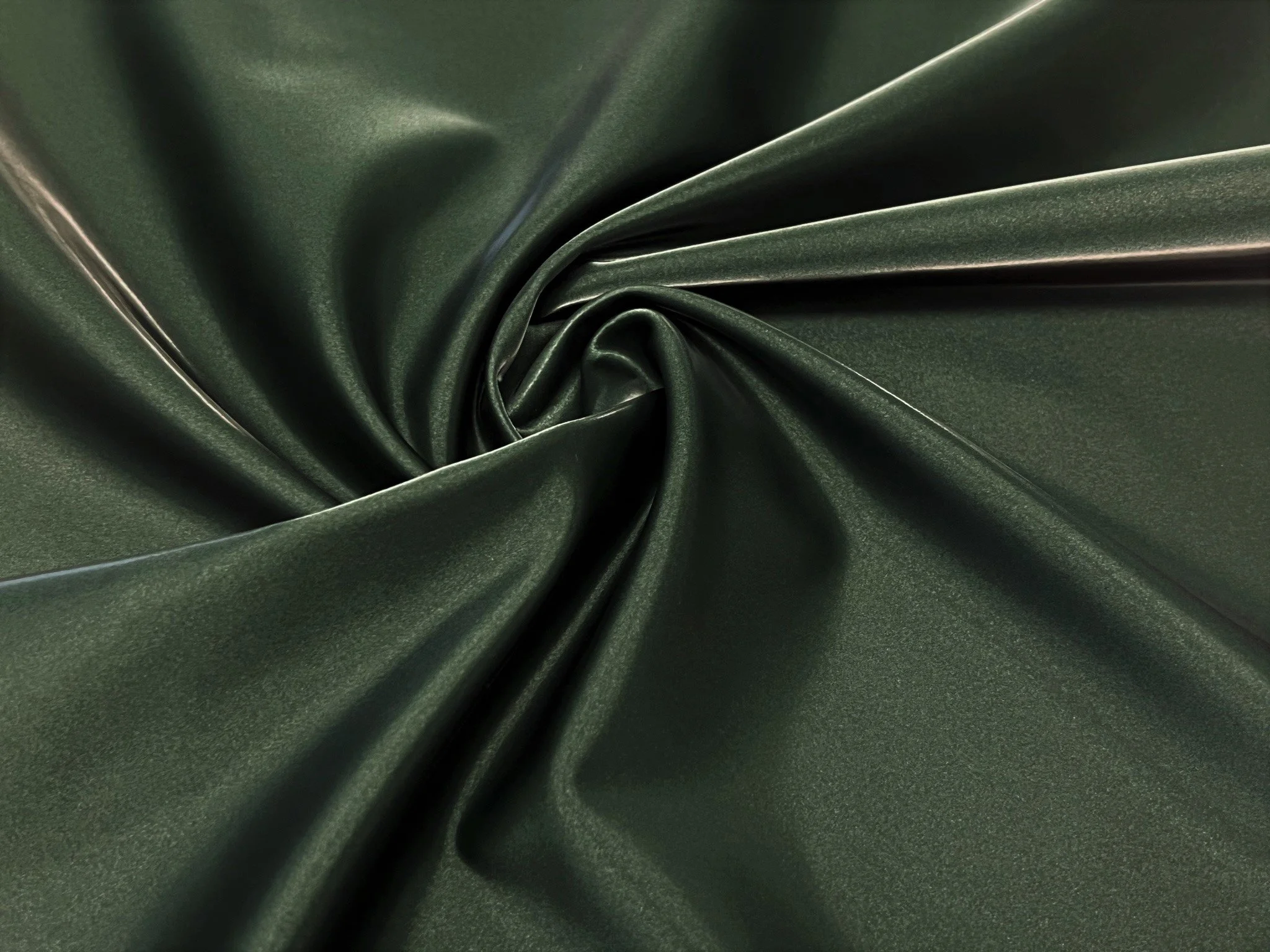 Mesmerized Forest.JPEG