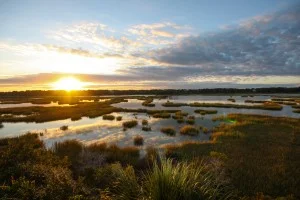 dunes properties Adds Dewees Island to Areas of Expertise