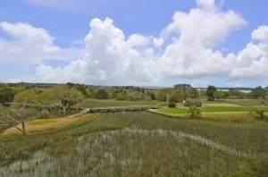 New Listings Galore, And At Desirable Prices