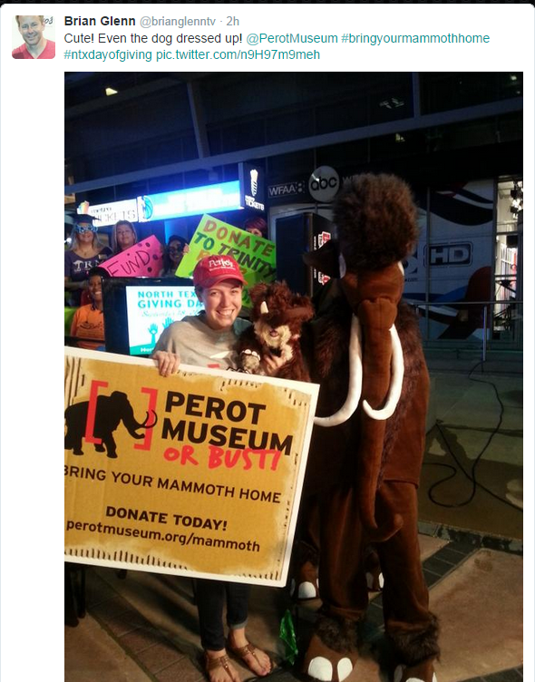  Mammoth Costume Stunt
