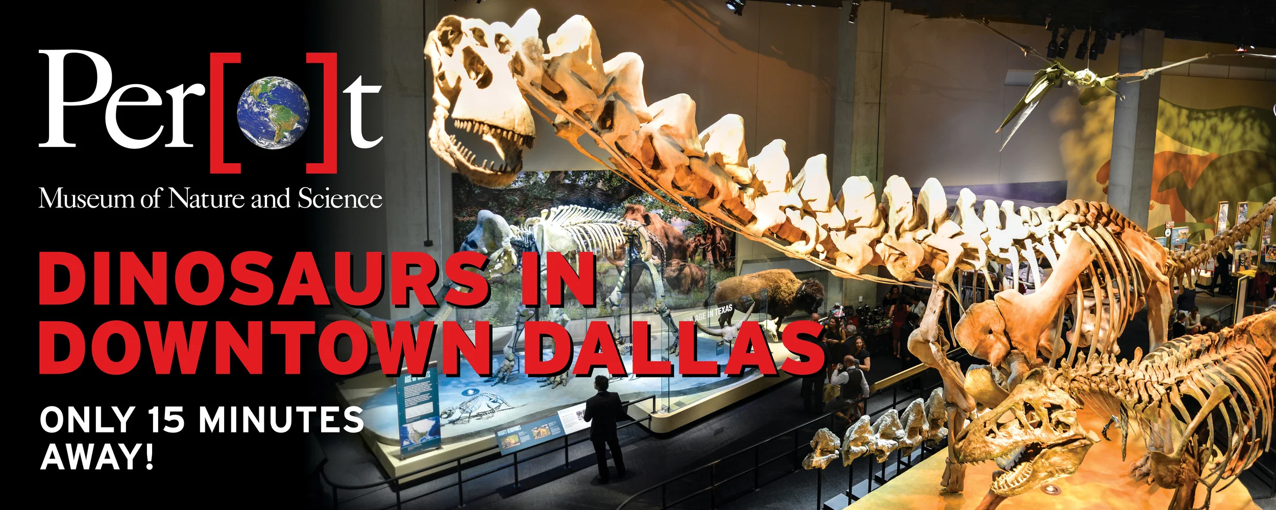 Airport Placement - Summer 2015