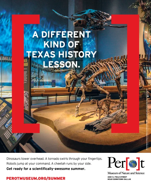 Summer Campaign Print Ad 