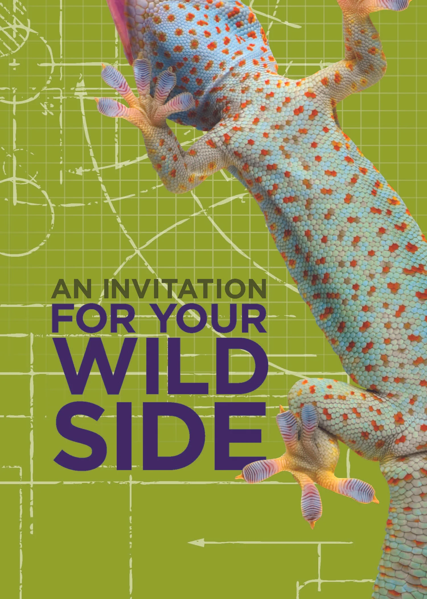 VIP Invitation