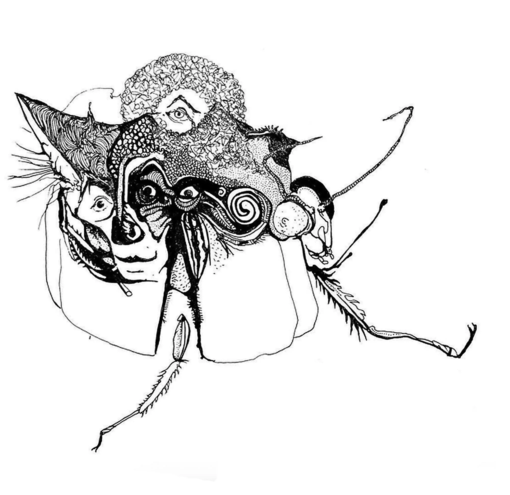 BUG WALK