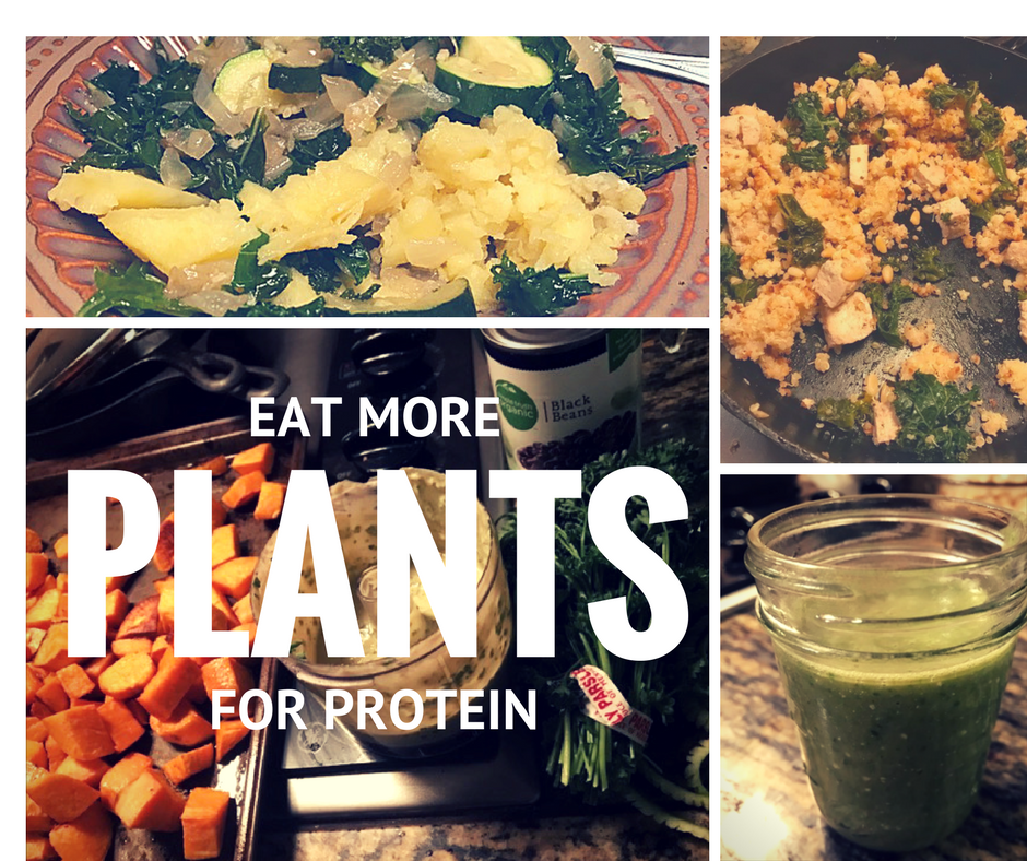 How to get More Healthy Proteins into your Diet 