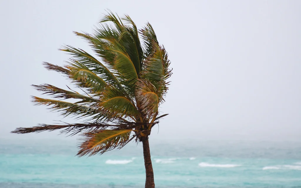 Be still to boost your strength