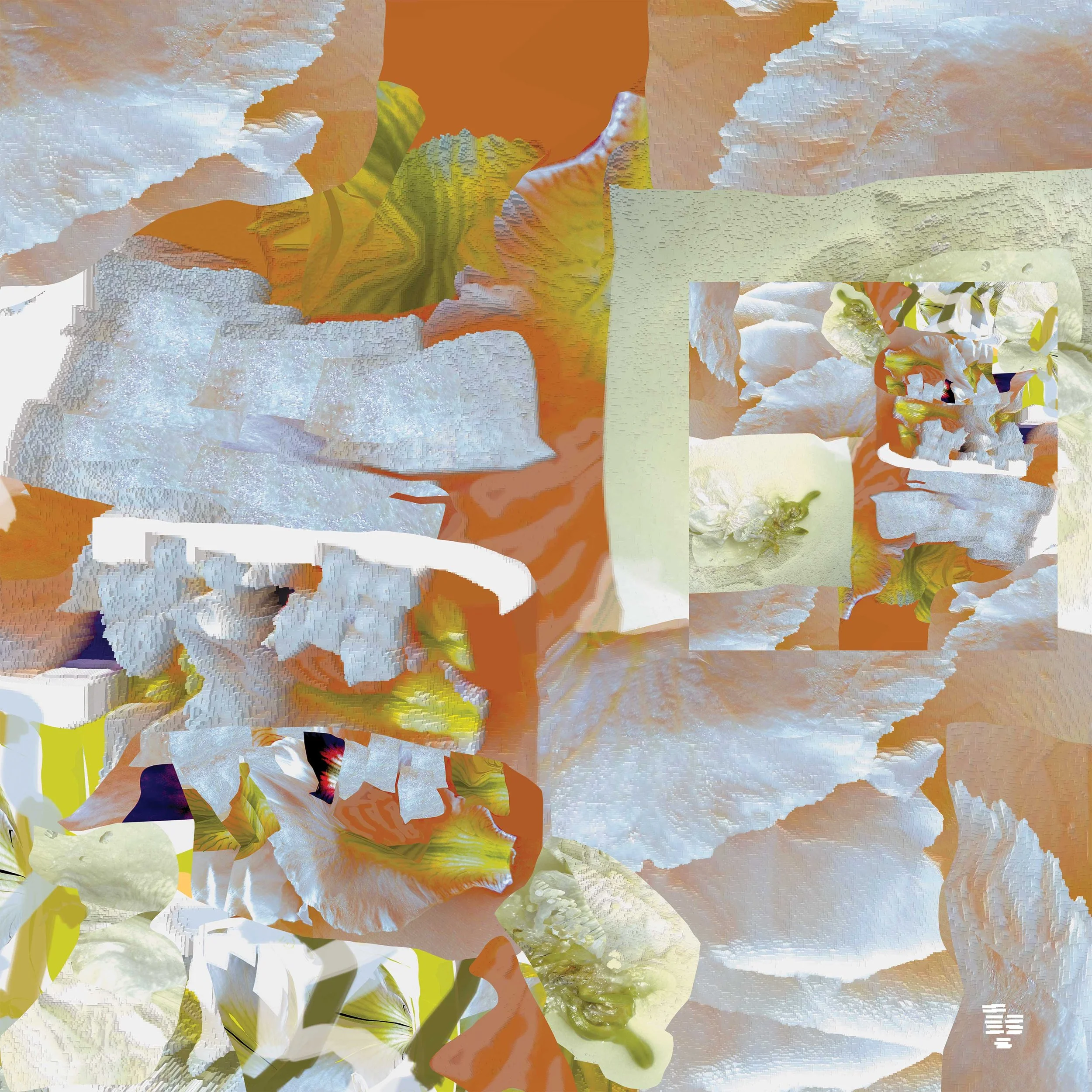 Petals 25-23-3b L P@20xrgb 189.jpg