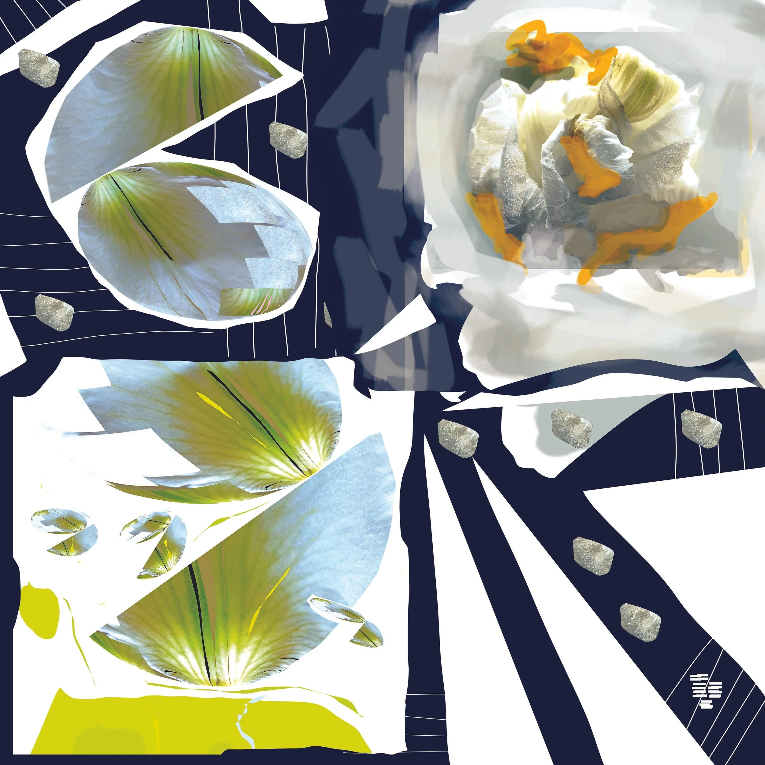 Ir-25-4c L P@4xrgb189.jpg