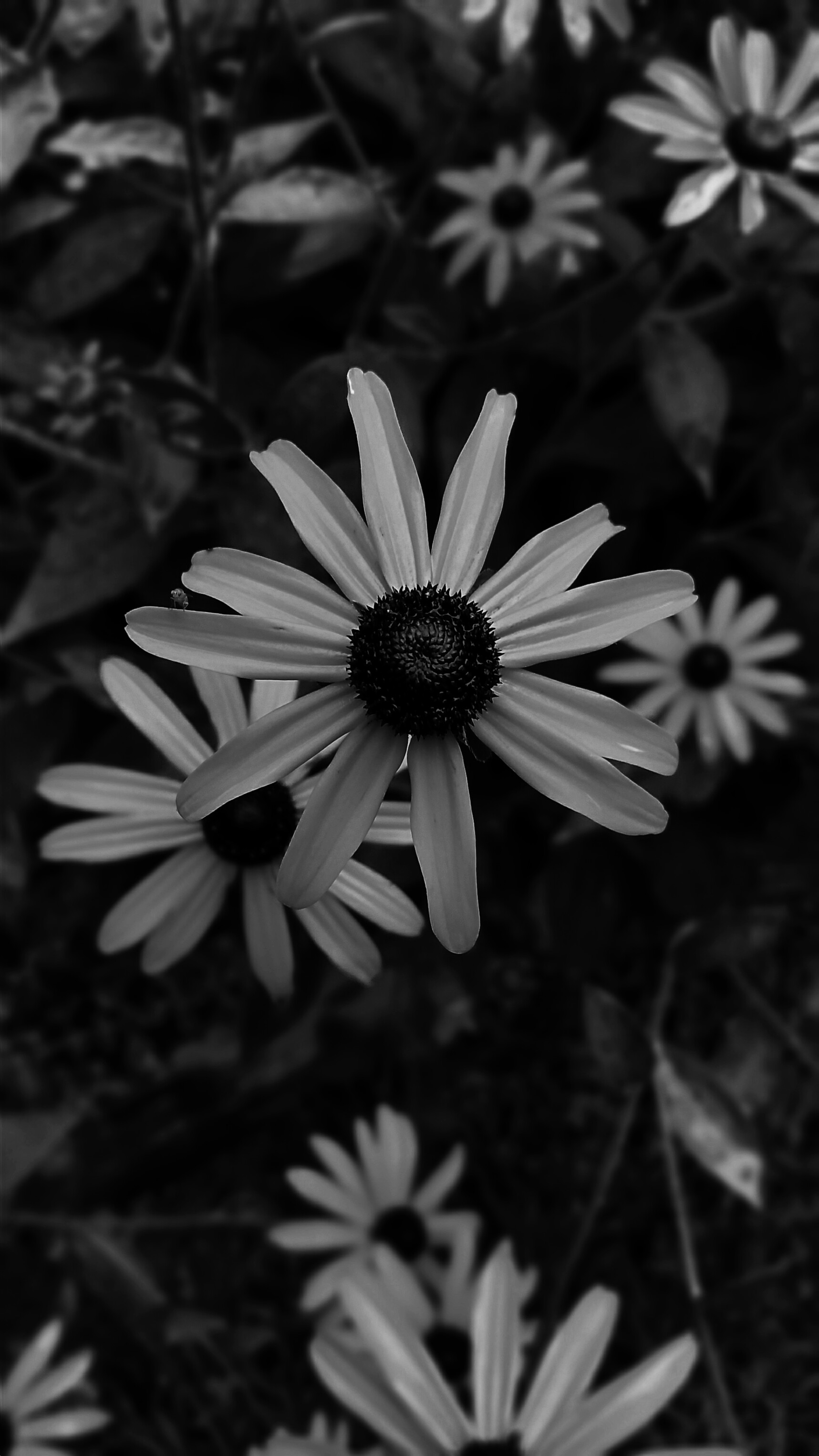 PicsArt_08-16-09.39.30.jpg
