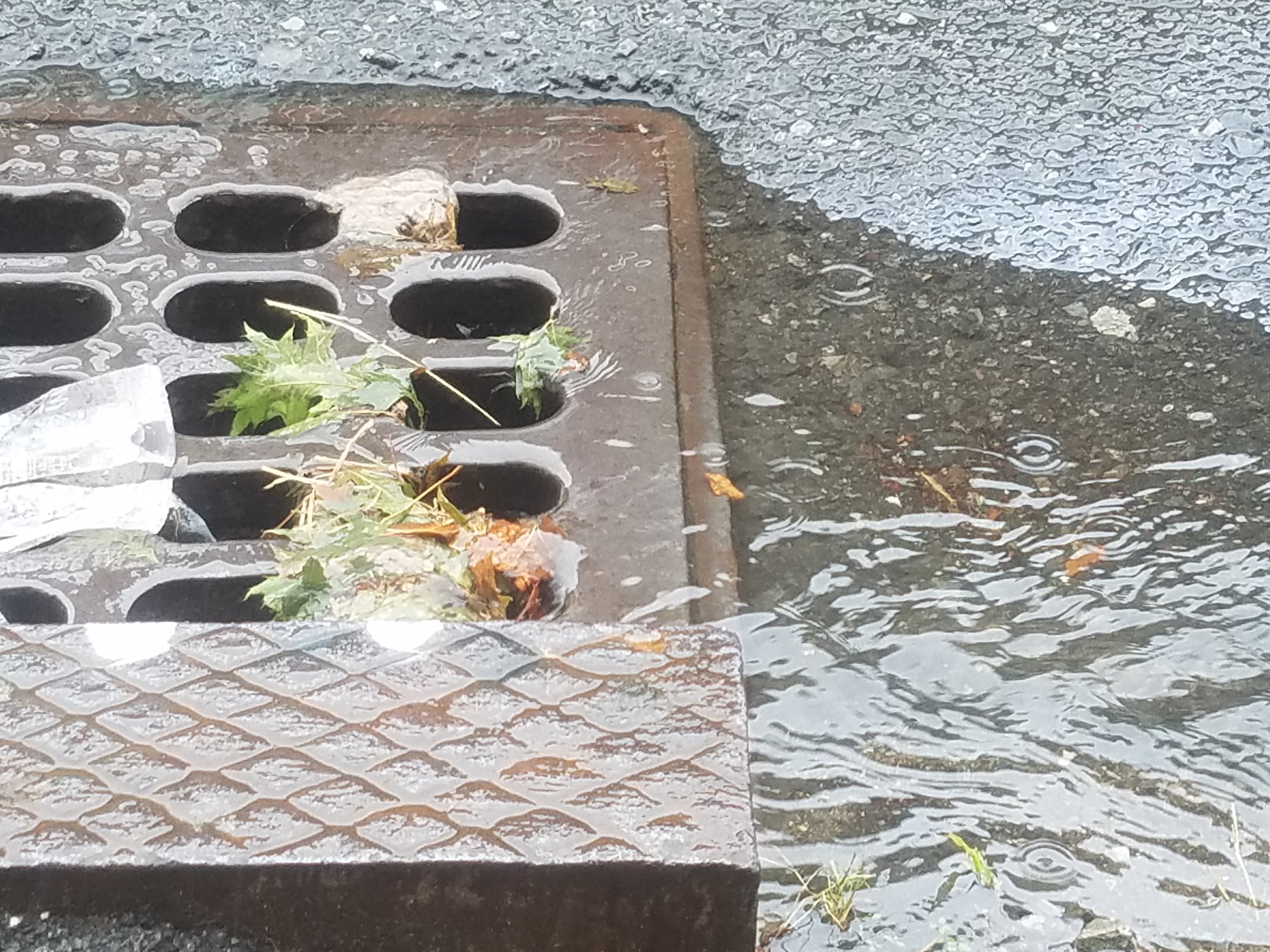 20170815_144319.jpg