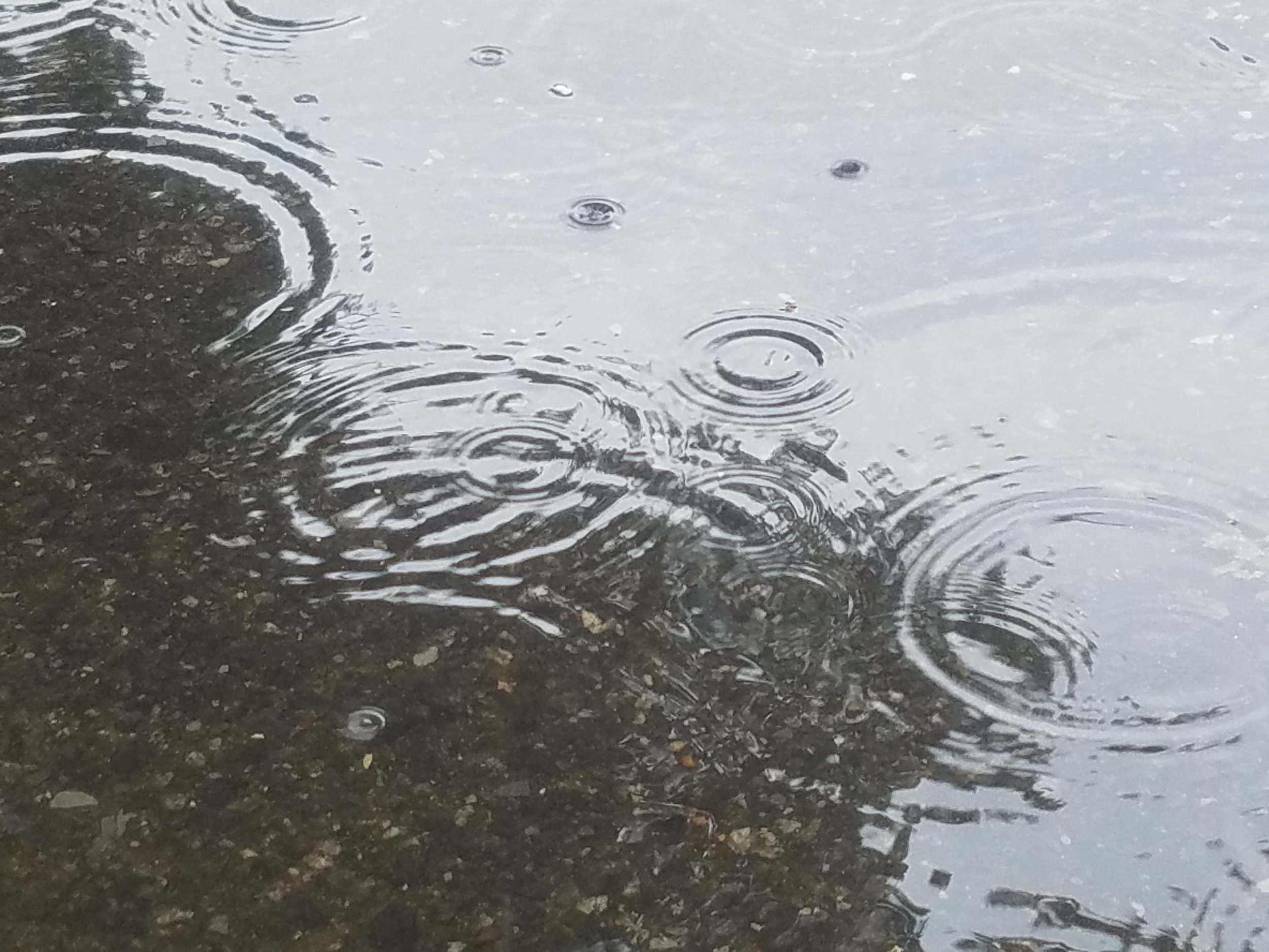 20170815_144149.jpg