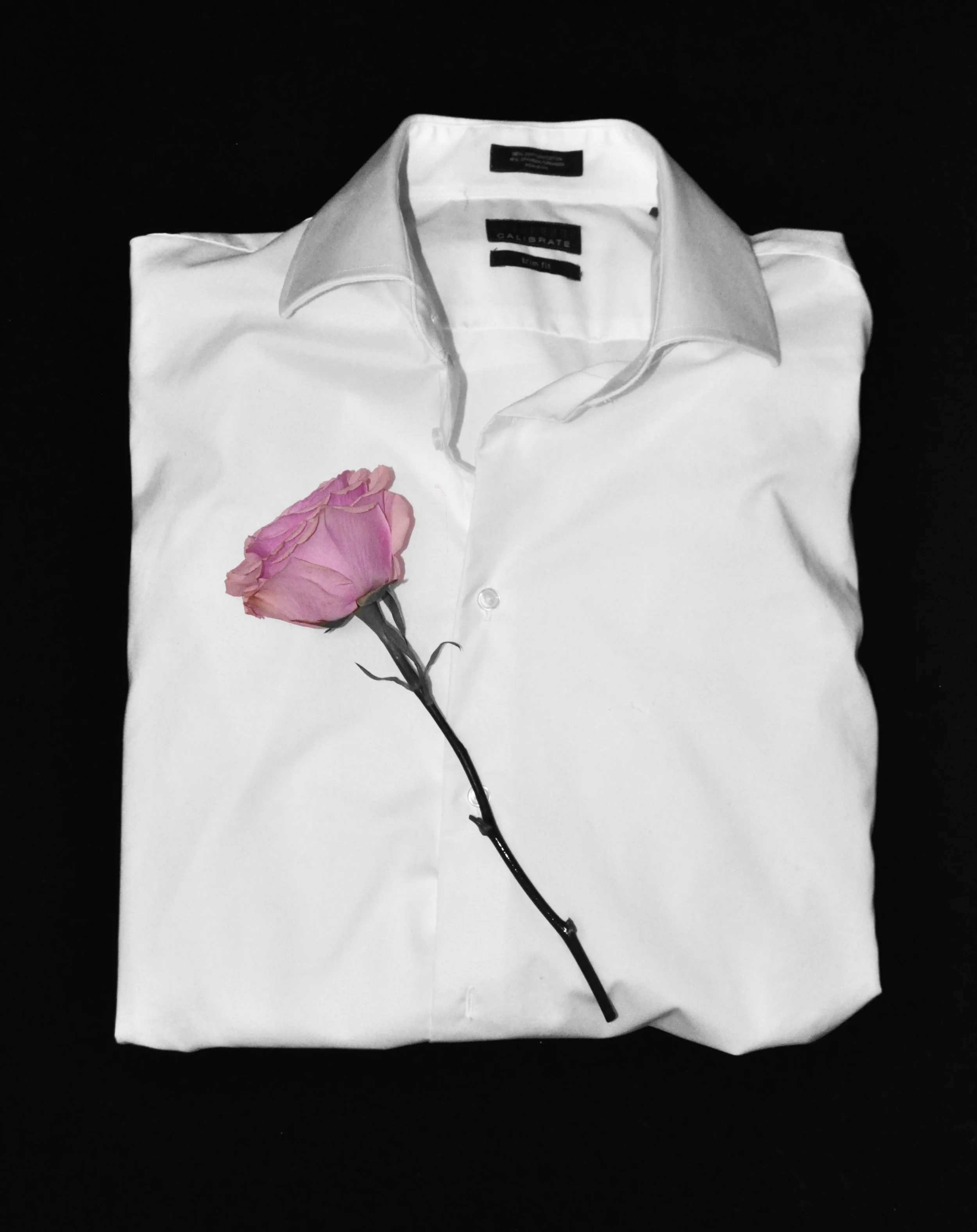 button down revised.jpg