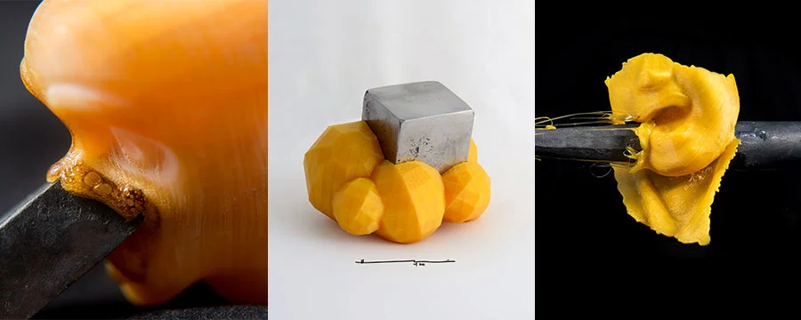 Image: Hector Carmona Miranda. Left to right: Remembering how I used to burn my toys as a kid (detail), Rock (detail), Empowering Punch (detail) . 2015. Photography.