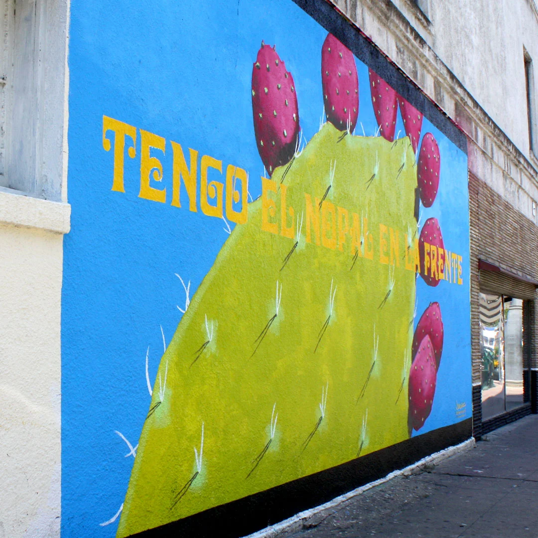 Tengo un Nopal en la Frente Joe De la Cruz June – September, 2016 Mexic-Arte Museum, 419 Congress Avenue