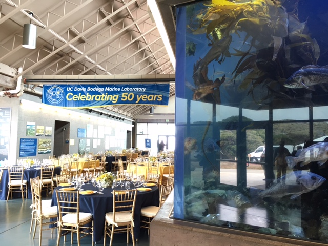 The 'Great Hall' and fish tanks, ready for the BML 50th celebration. Photo credit: T. Hill