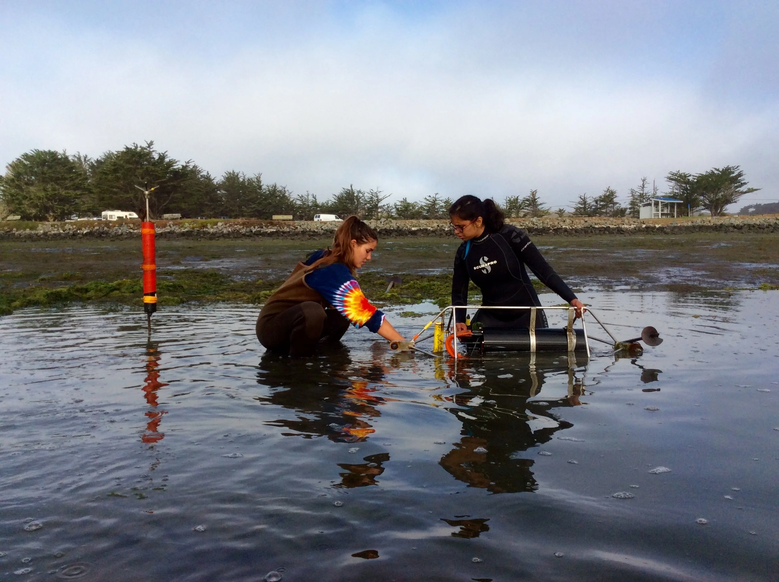 Jacky and Priya deploying pH sensors in Bodega Harbor, CA. Photo: Melissa Ward.