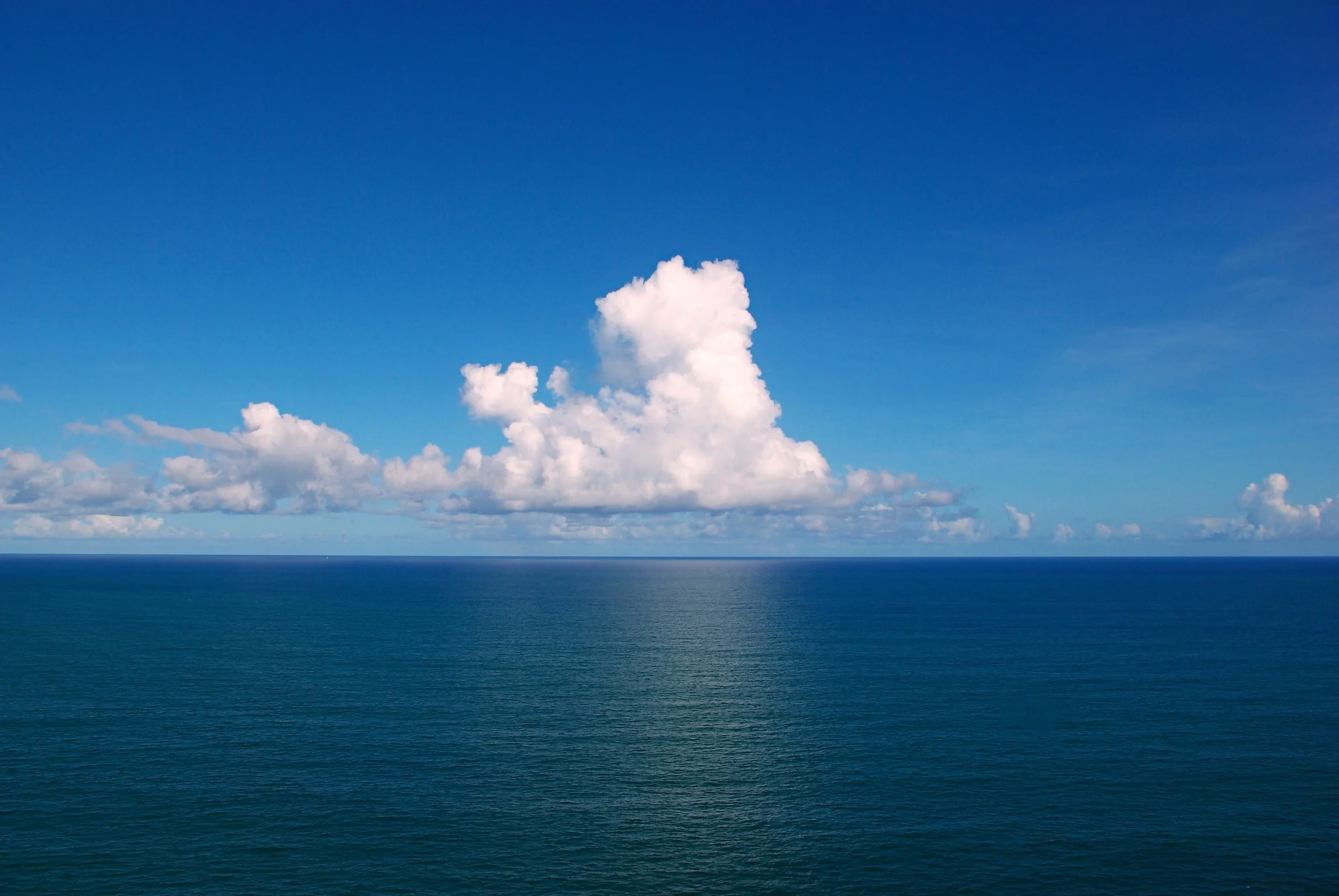 Ocean Optimism: Leadership from communities, states, and countries