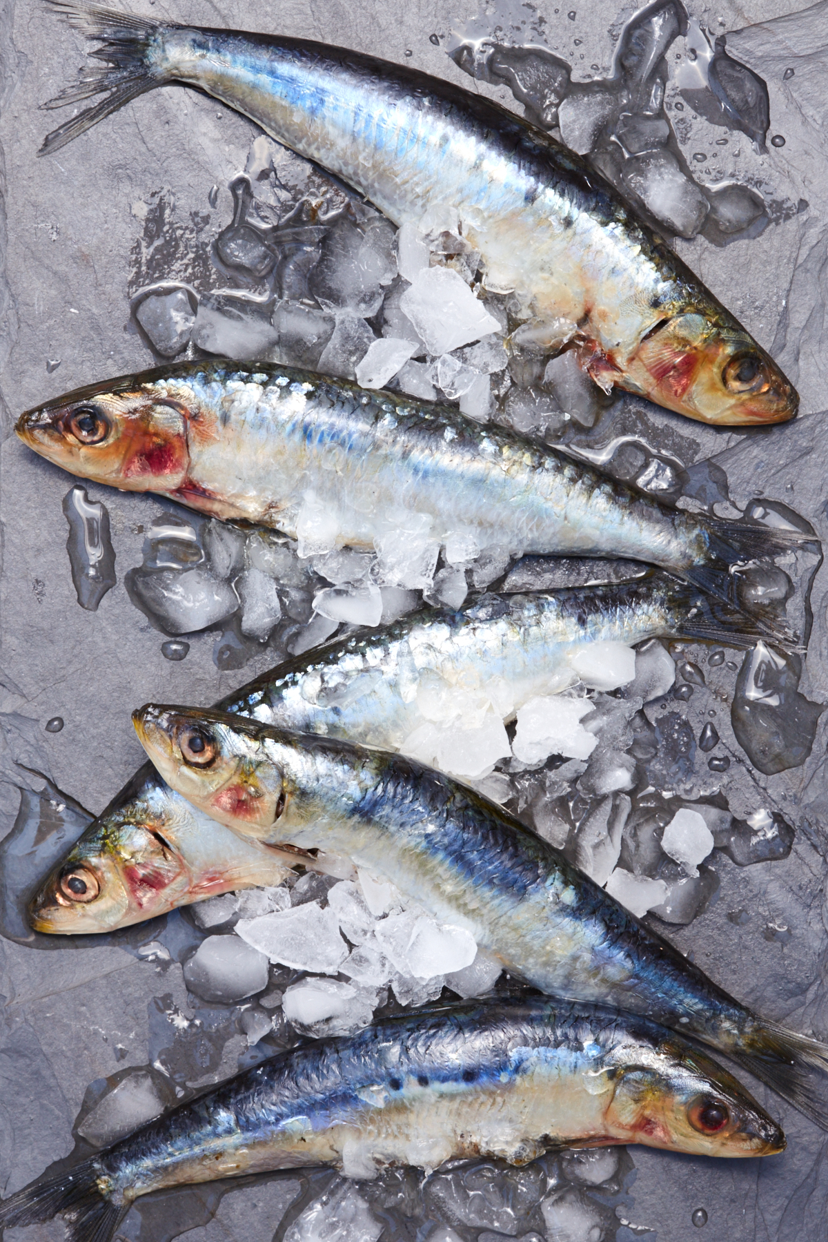 RAW_SARDINES_014.jpg