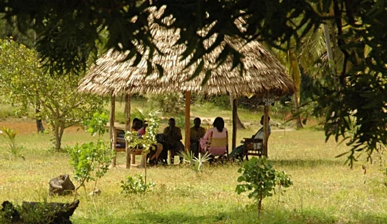 Fabulous Kipungani smoking hut.jpg
