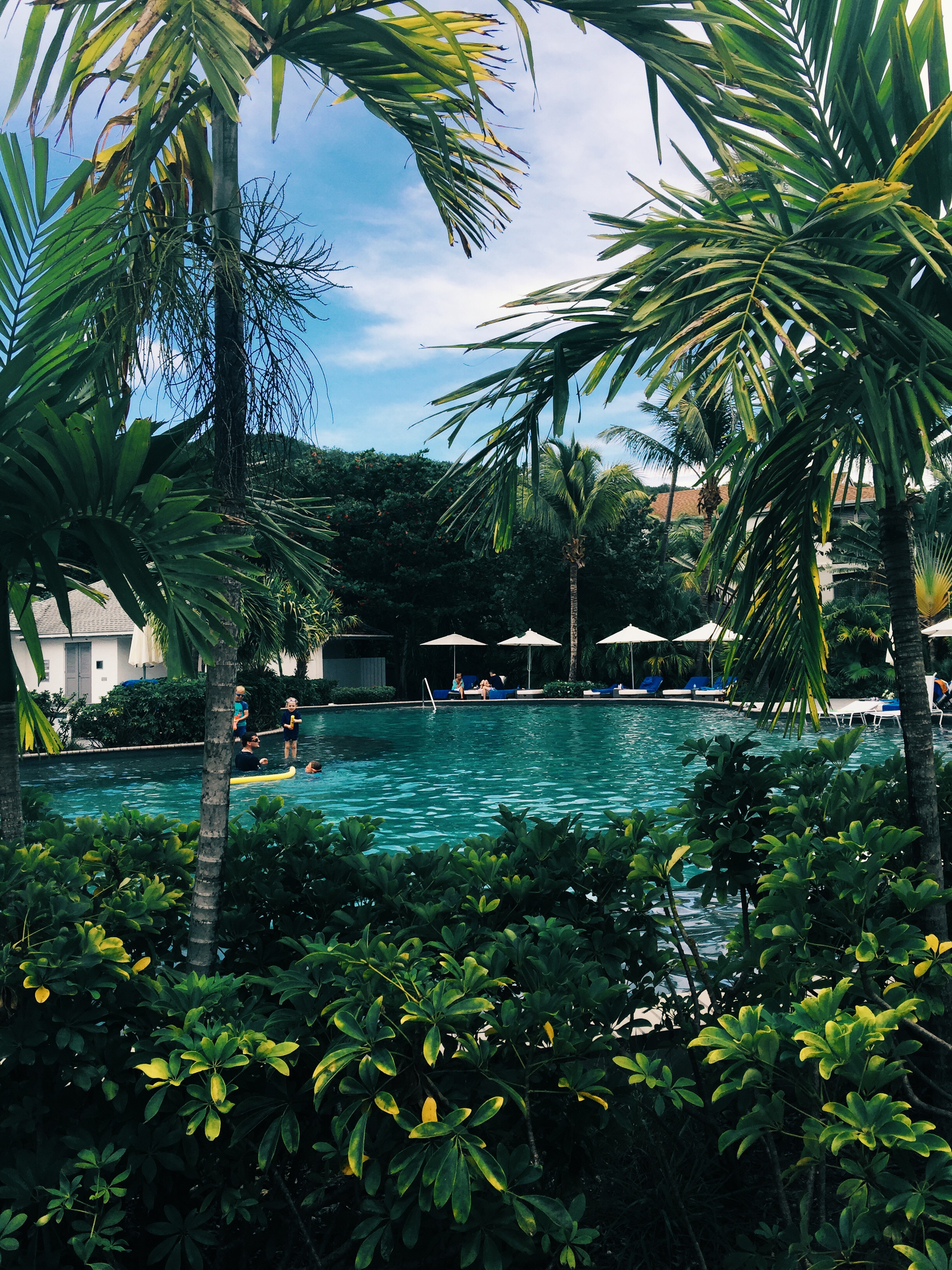 The Pool