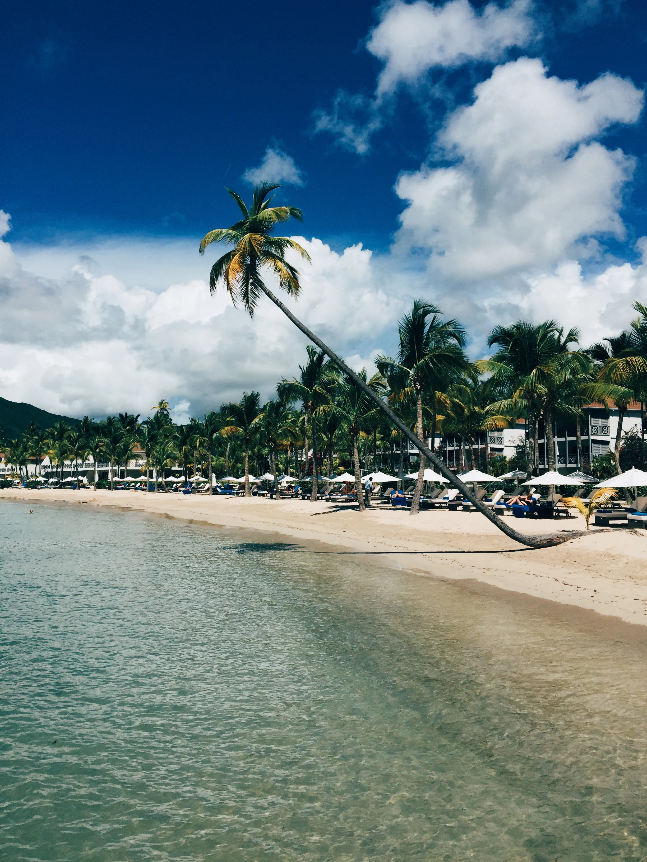 Out and About: Carlisle Bay 