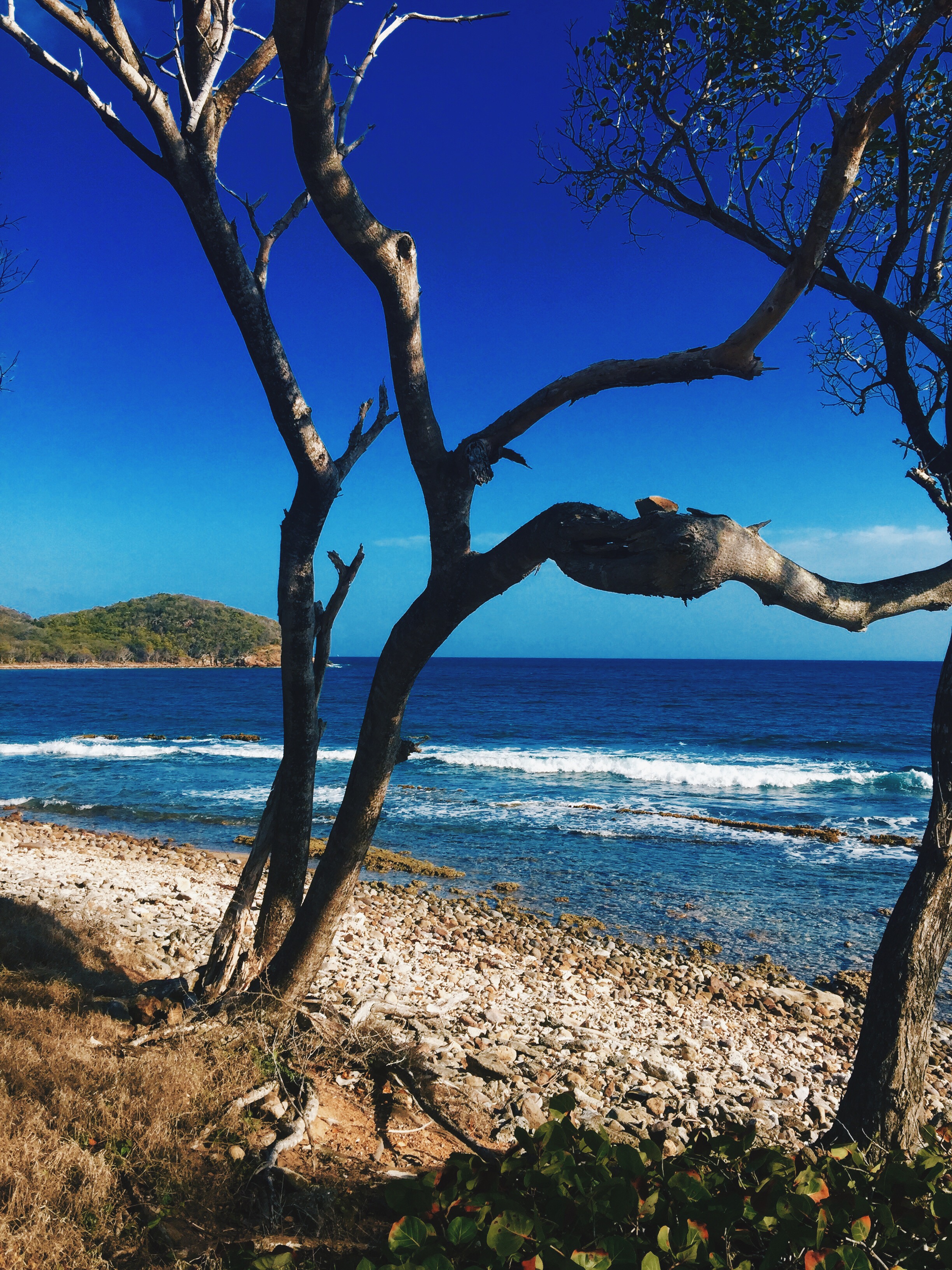 The View of the Coastline