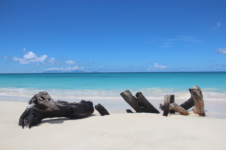 Idealistic Ffryes Beach
