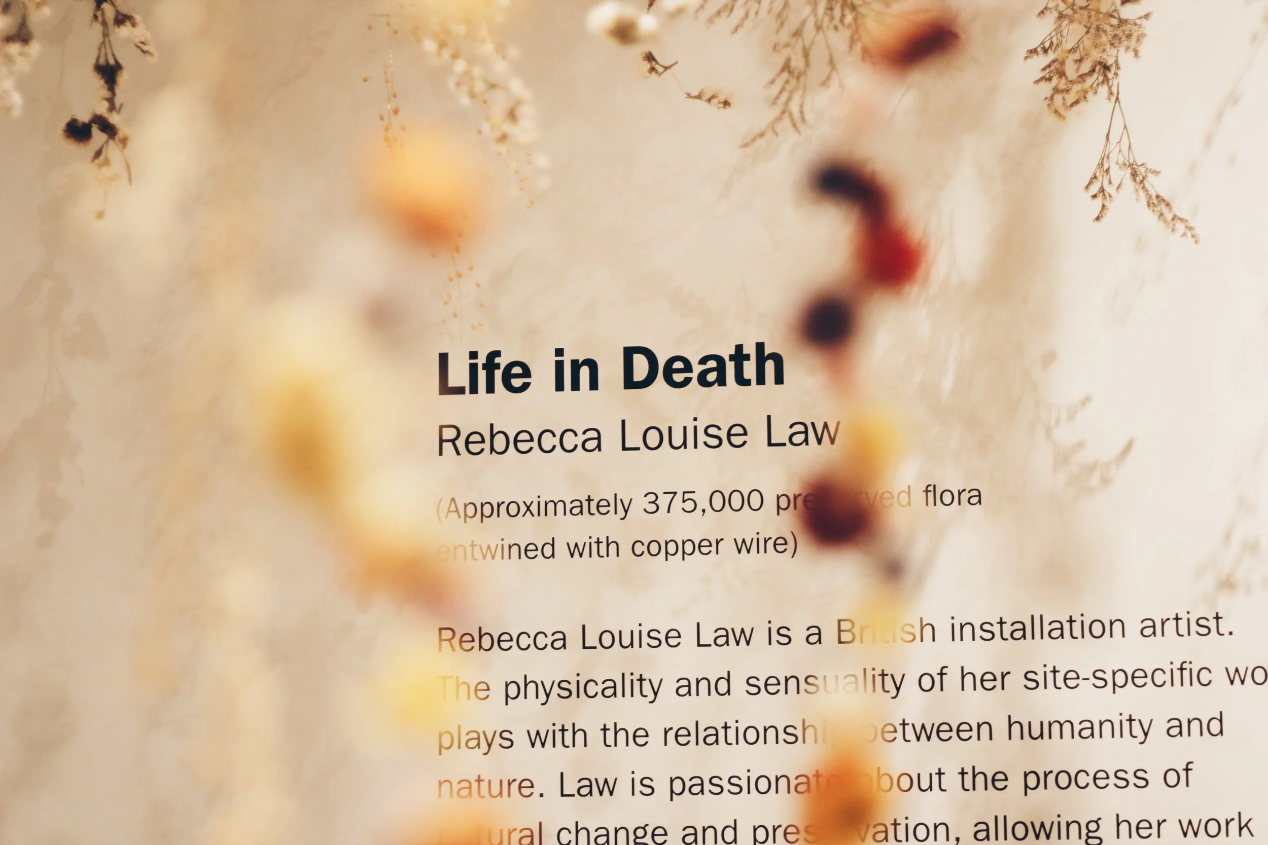 Food For Thought: Life in Death