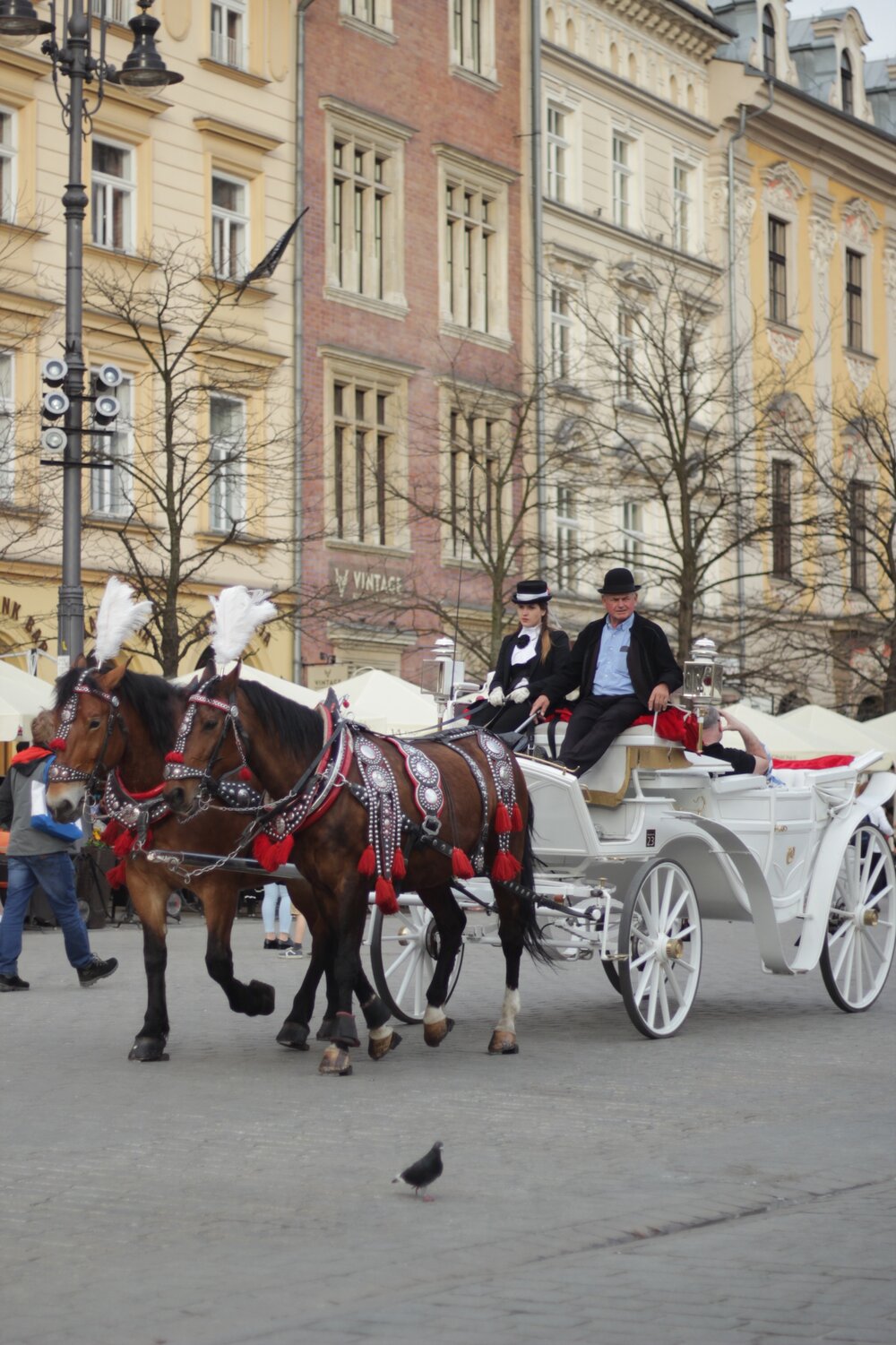 Polish Horse &amp; Cart Ride