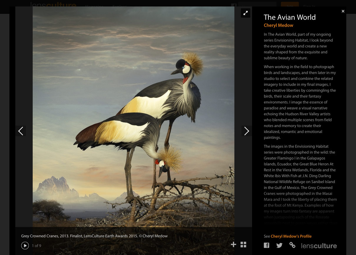 LensCulture Earth Awards 2015 Finalist