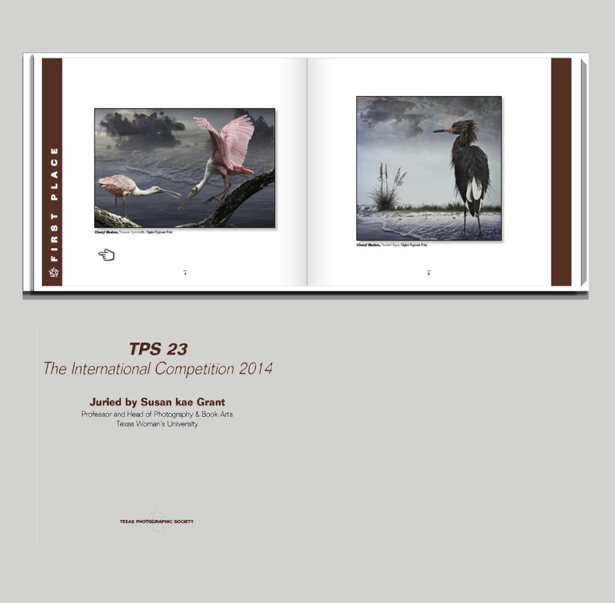 First Place - Roseate Spoonbills - Texas Society International Competition 2014 catalogue