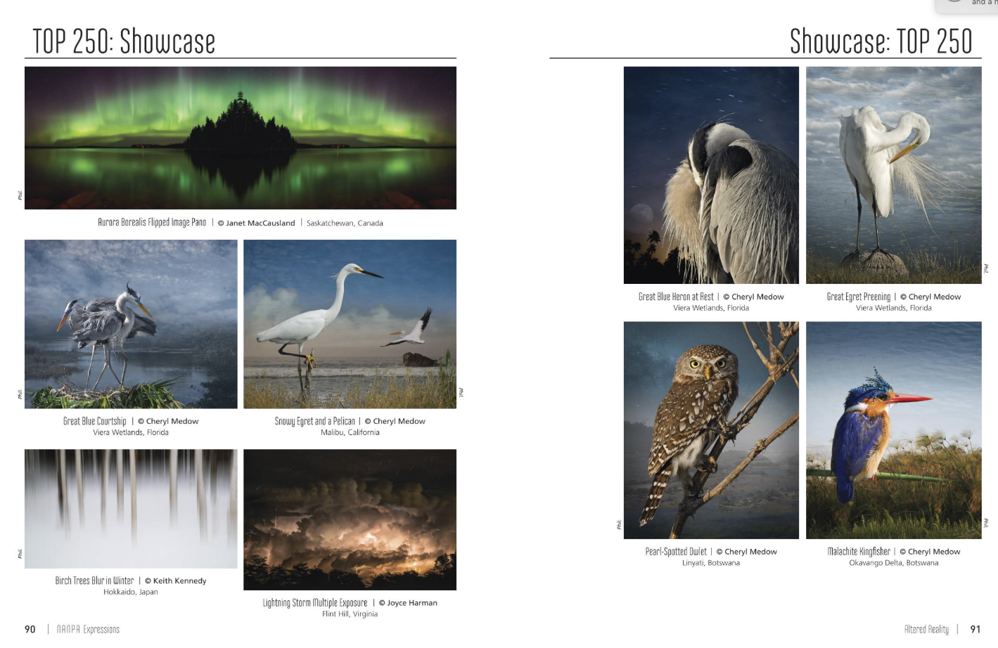 Other images from my Envisioning Habitat series included in Expressions 2018 .