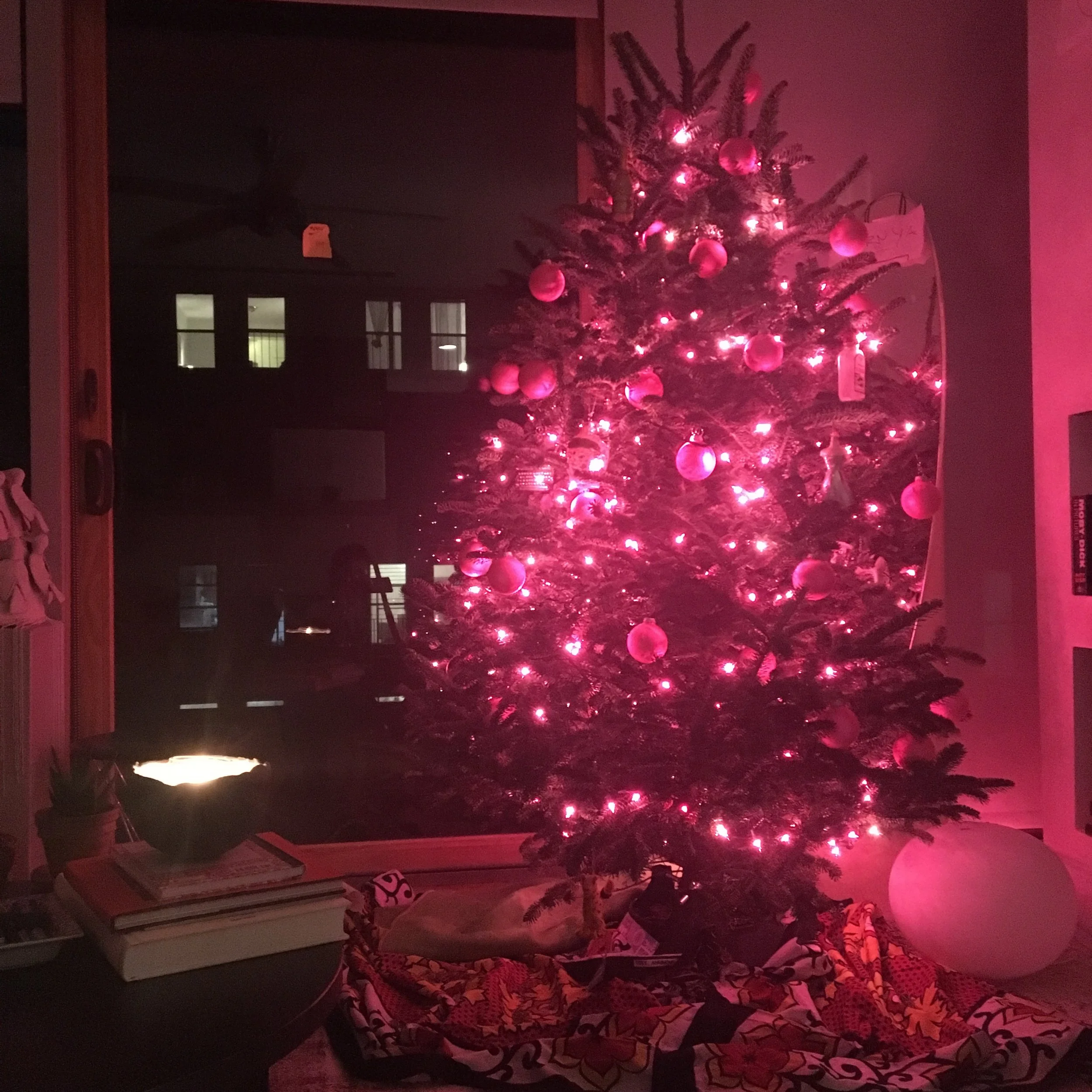 In other news, I don't know how to dispose of a pine tree, so this is permanent.