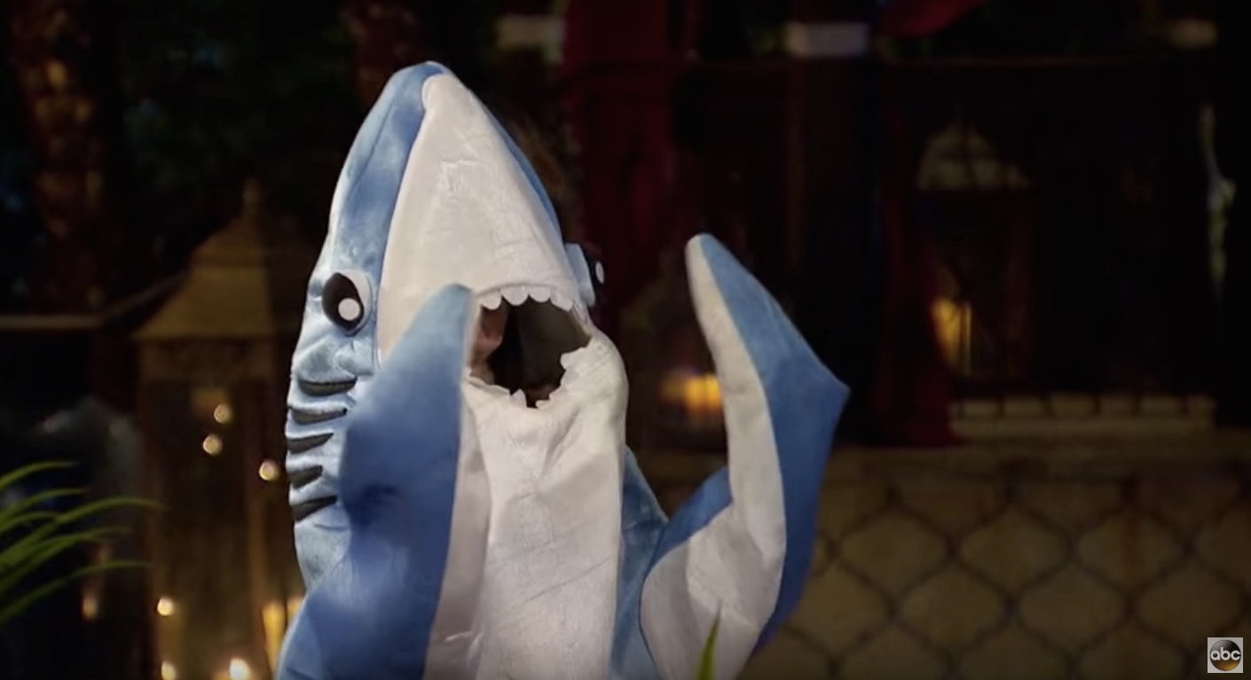 Dolphin Training 101: Dolphins cannot breathe underwater because they do not have gills. Do not keep them from coming to the surface, they will drown. (Pictured above: a shark)