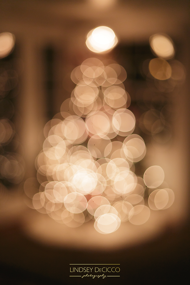 Bokeh <3