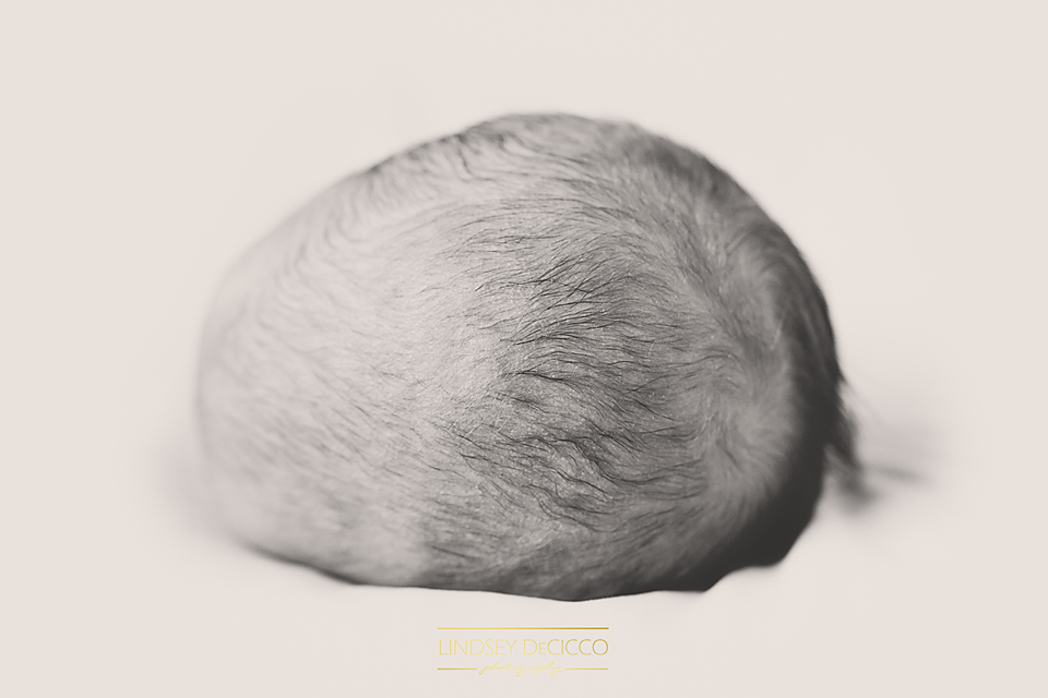 I love her hair. I can never get over how tiny a newborn's head can be.