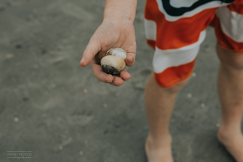 Back to the beach, 6/365