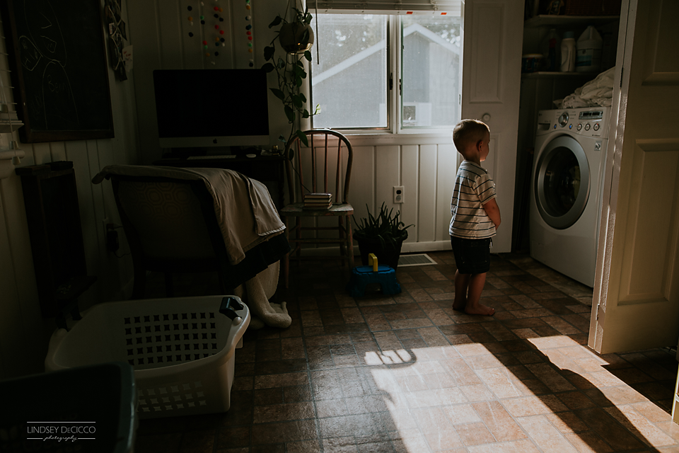 I have about a thousand of these from July 12. Rocco is obsessed with laundry.