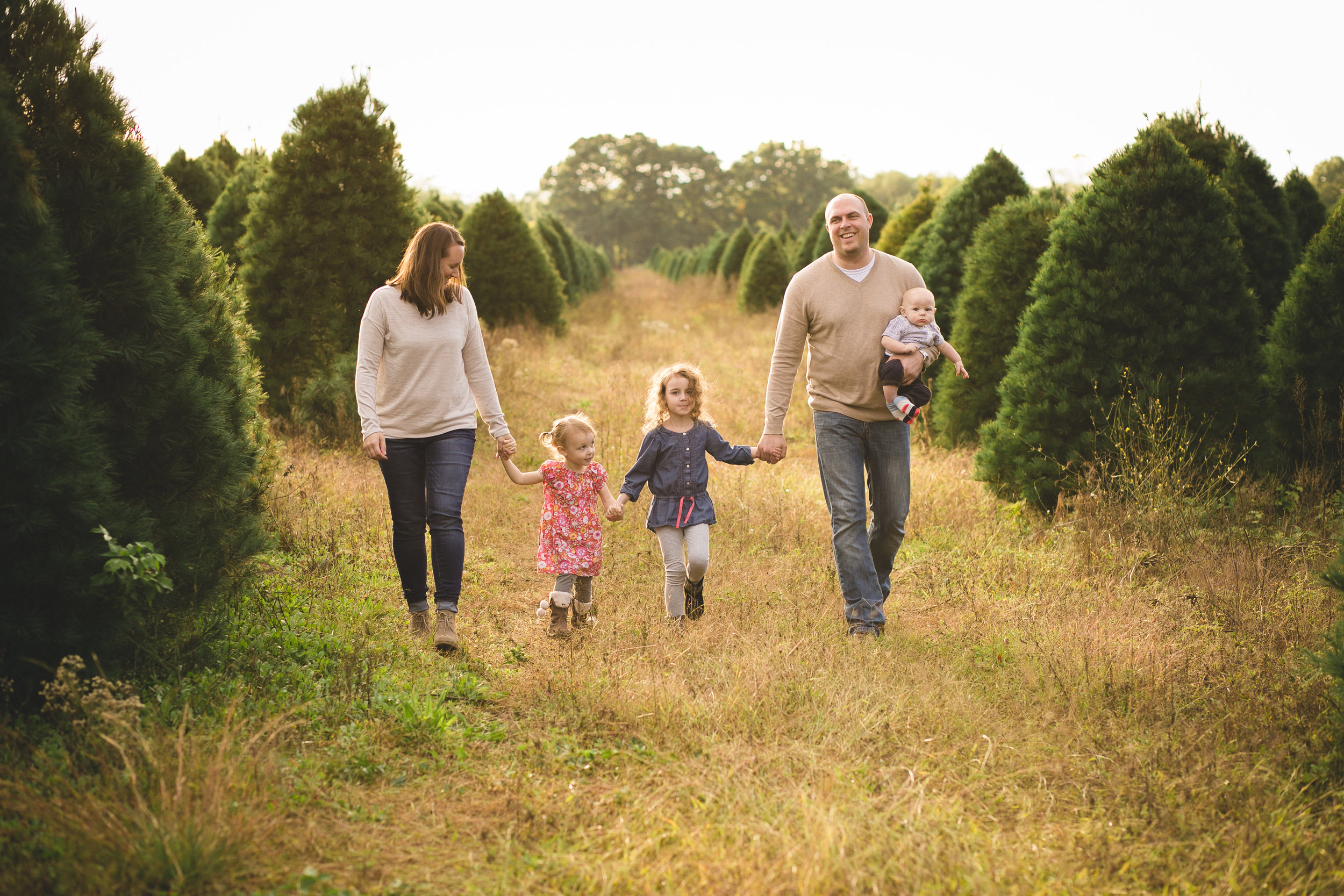 Professional Family Photos, walking at Christmas Tree Farm
