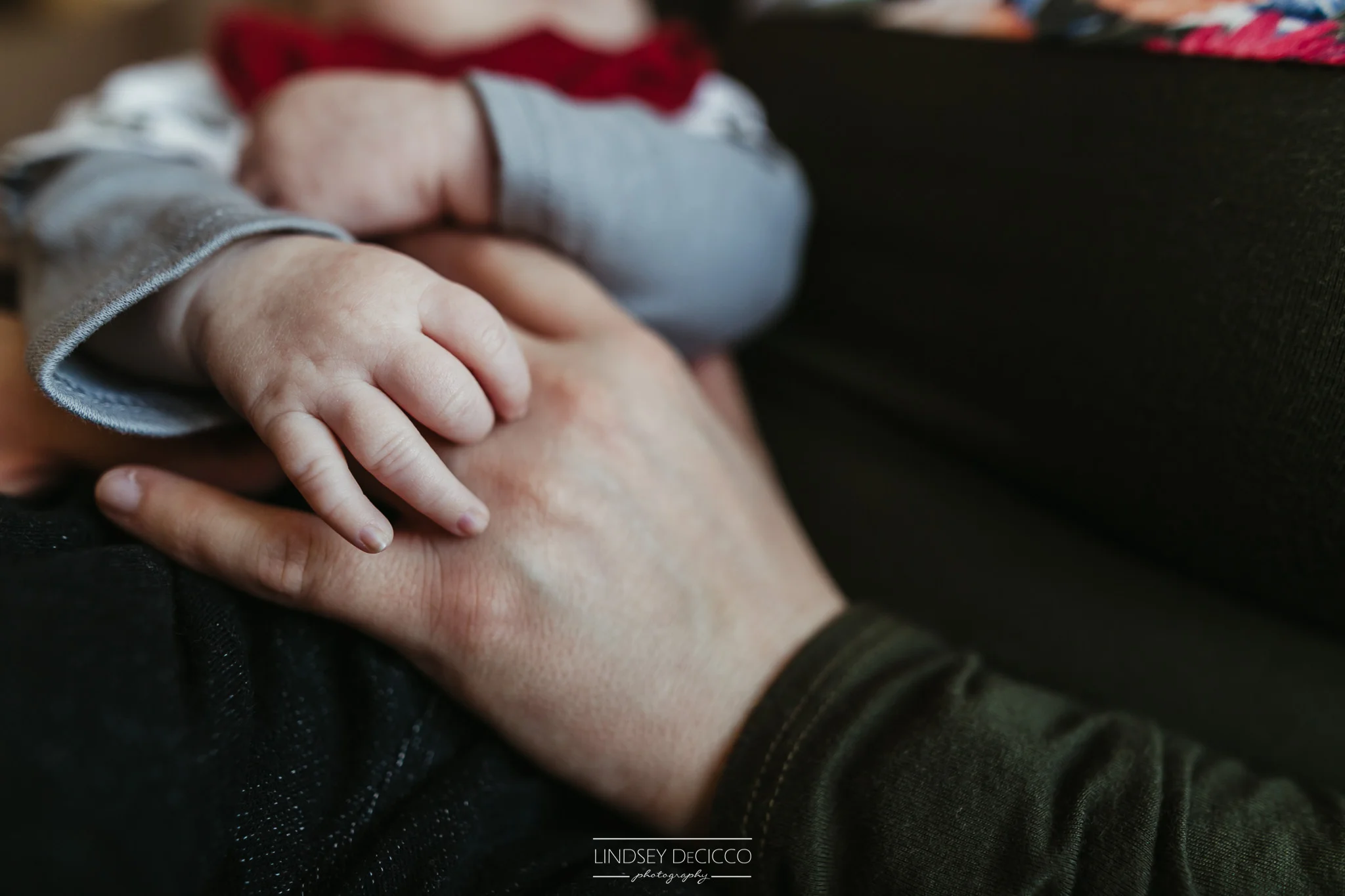 baby hands and mom's hands