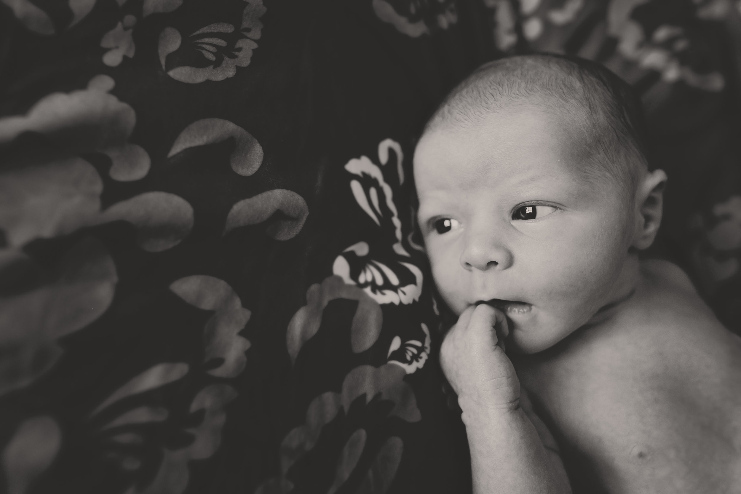 black and white newborn photography on bed