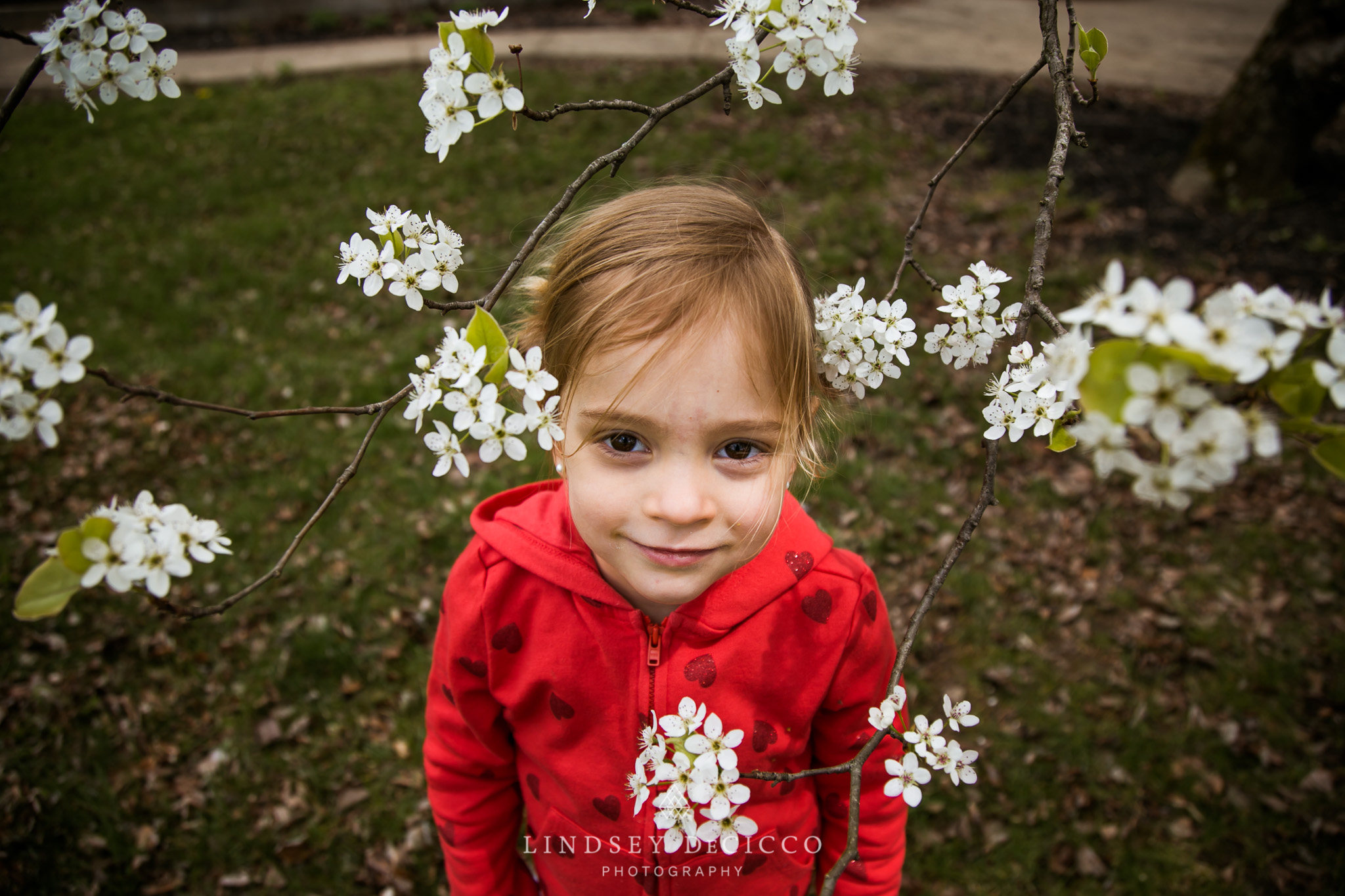 daughter framed with spring blossoms