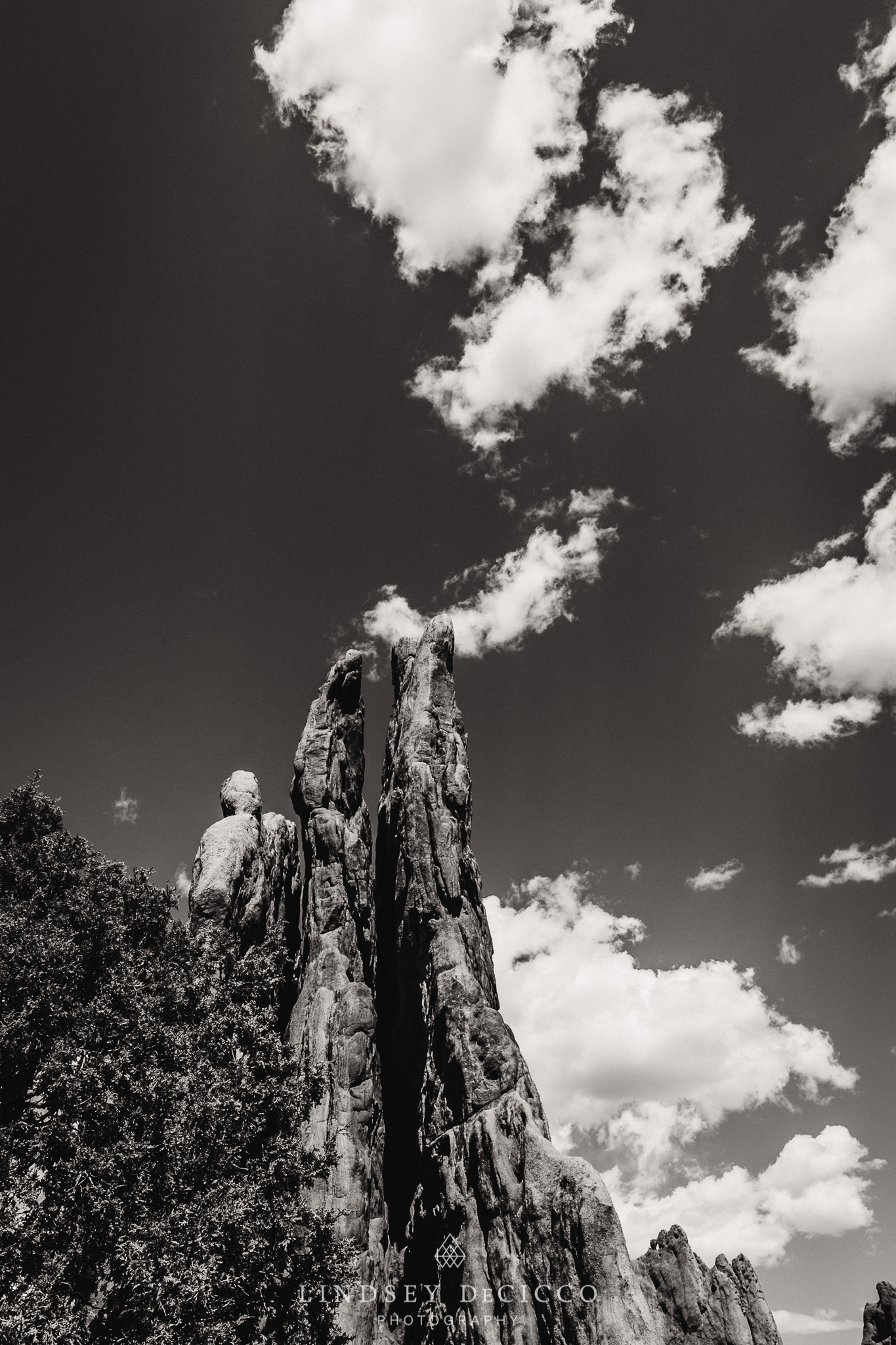 201809091R3A9529WEB-2.jpg