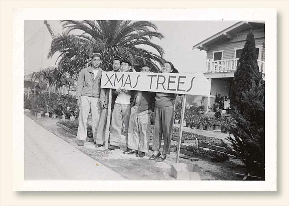 Xmas Trees For Sale c. 1946. L-R: Uncles Mike, Joe, Bob and Gus, with close friend from Hawaii Judy Teruya. (Click to enlarge.)