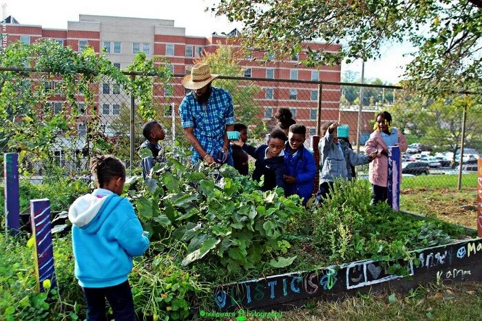 1_Da3f31UWXoBITgw1eDuACg (1).jpeg