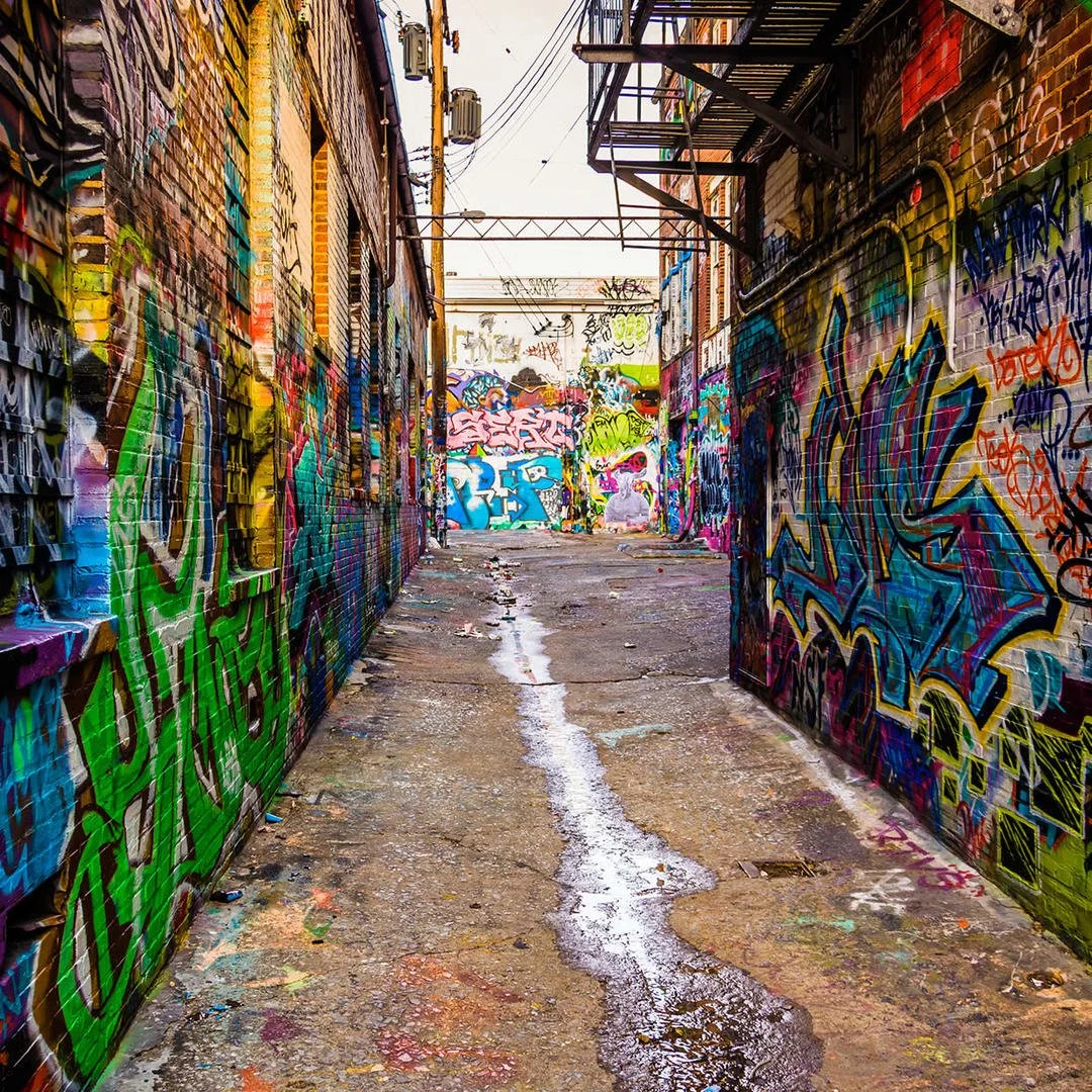 Hidden Art in Baltimore Graffiti Alley — Baltimore Corps