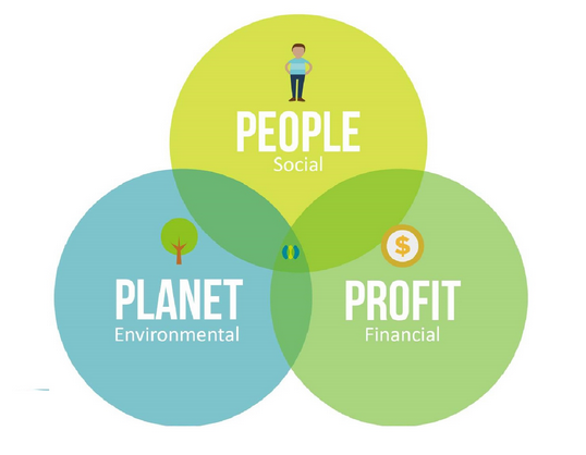 What would you add to this Diagram to make it a holistic approach?